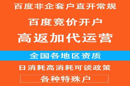 百度竞价推广实战：案例分析与优化策略